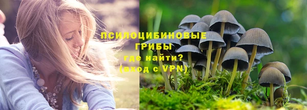 PSILOCYBIN Богородск